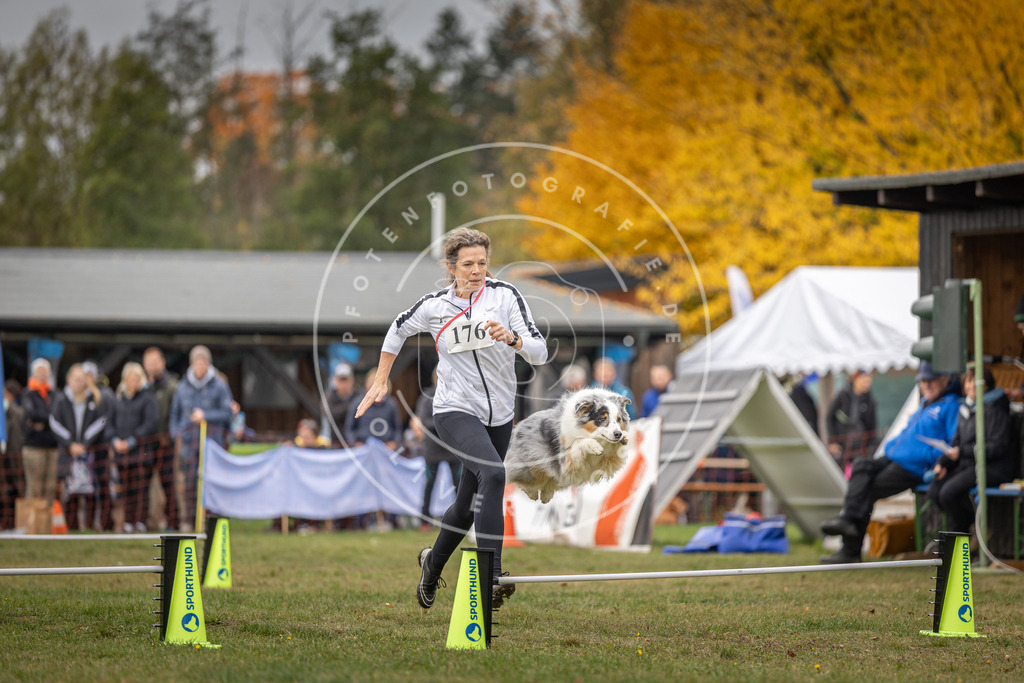 Pfotenfotografie_DV3A5456 | Hundefotografie, Tierfotograf, Pfotenfotografie, Fotoshooting Hund, Hunde Portrait, Hundesport, Hundeportraits, Heideshooting, Hunde, Sportfotograf, Hundefotograf, Turnierhundsport, THS,  - Realisiert mit Pictrs.com