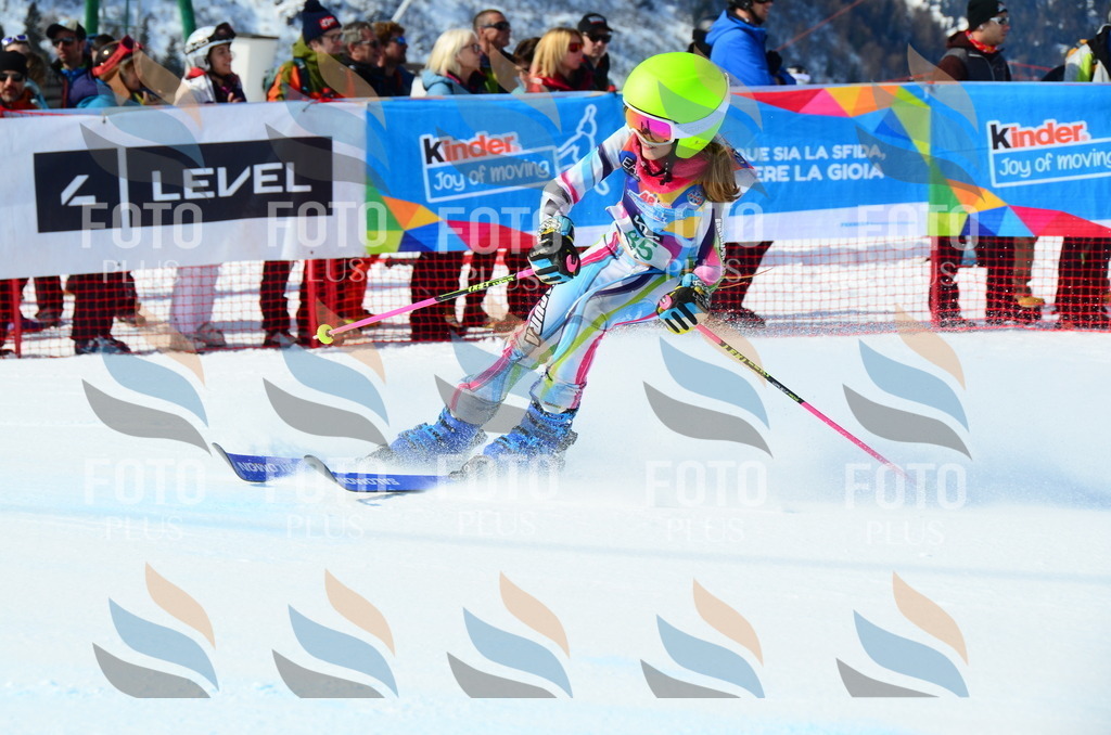 DSC_0557 | holidayphoto