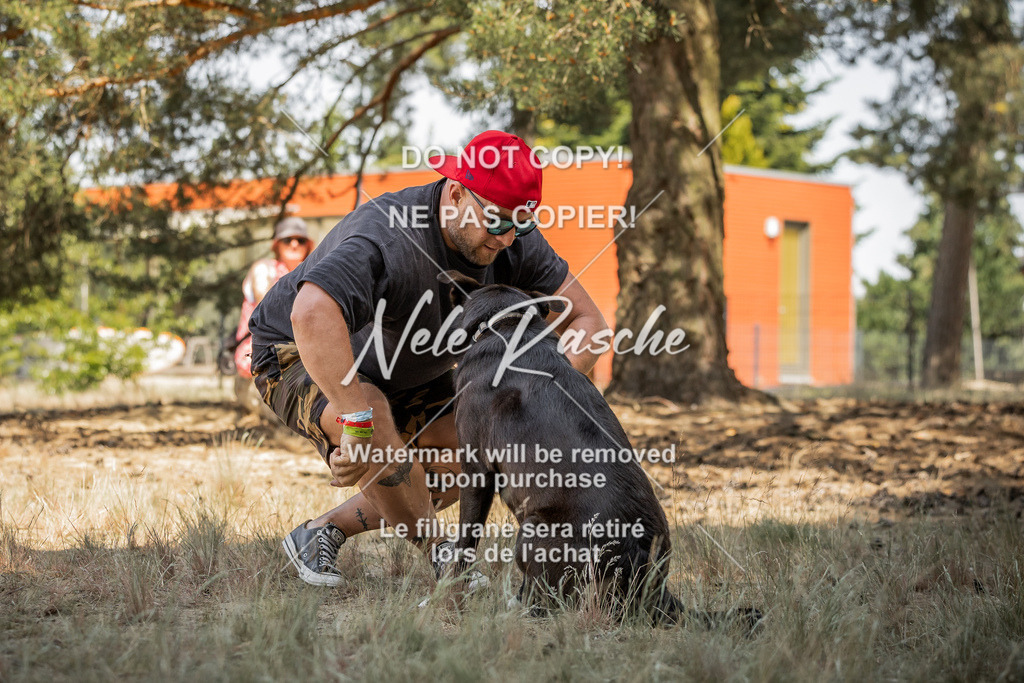 nelerasche_soDD3_95 | nelerasche