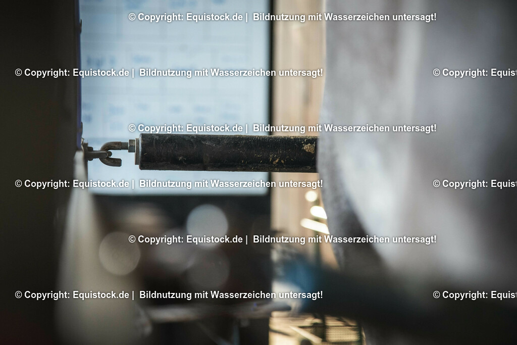 20200118_Laufband_0007 | Foto: Thomas Hartig