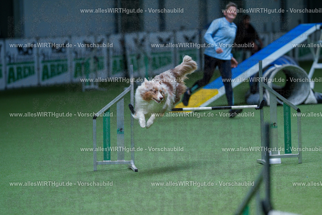 @allesWIRTHgut_Tierfotografie - www.allesWIRTHgut.de - 2604251218-7R501301 | Professionelle Tierfotografie in Mönchengladbach von Daniel Wirth (allesWIRTHgut). Liebevolle & natürliche Bilder von Hunden & Katzen für unvergessliche Erinnerungen.