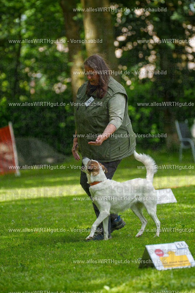 @allesWIRTHgut_Tierfotografie - www.allesWIRTHgut.de - 7R504332 | Professionelle Tierfotografie in Mönchengladbach von Daniel Wirth (allesWIRTHgut). Liebevolle & natürliche Bilder von Hunden & Katzen für unvergessliche Erinnerungen.