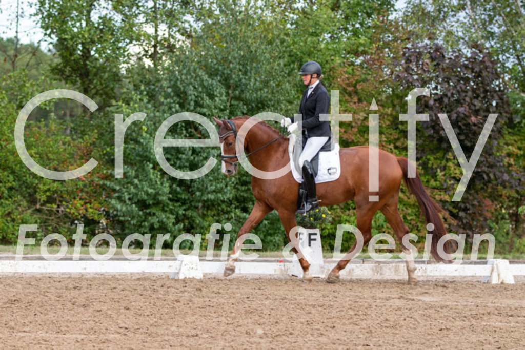 IMG_5008 | Creatify Fotografie