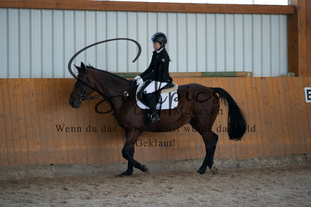 A7V02068 | Turnier/Reitfotograf