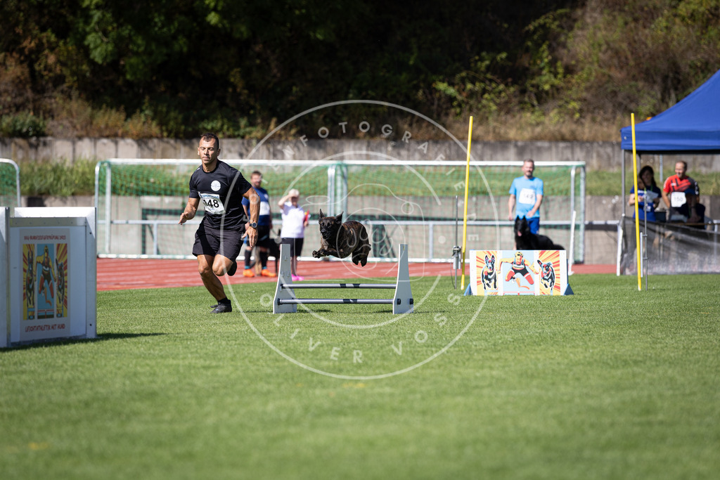 Pfotenfotografie_DV3A9290 | Hundefotografie, Tierfotograf, Pfotenfotografie, Fotoshooting Hund, Hunde Portrait, Hundesport, Hundeportraits, Heideshooting, Hunde, Sportfotograf, Hundefotograf, Turnierhundsport, THS,  - Realisiert mit Pictrs.com