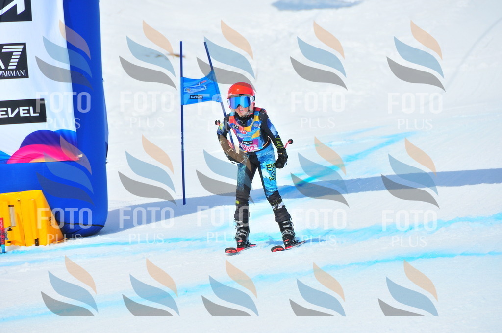 DSC_6838 | holidayphoto