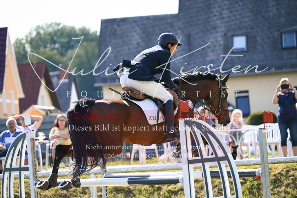 DSC_1272 | Pferde- und Turnierfotografie in Westsachsen. Pferdeportraits, Auftragszeichnungen und intuitive Kunst.