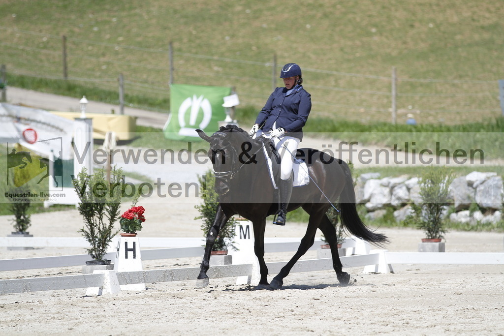 _MG_4938 | equestrian-live-com