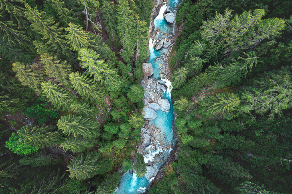 Blick in die Schlucht – Sommer im Wallis | Ein türkisfarbener Bach schlängelt sich durch den dichten Bergwald – fotografiert von einer Hängebrücke im Schweizer Wallis. Ein Bild, das Tiefe, Frische und Bewegung zeigt. Ideal für alle, die Berge und Natur lieben. - Realisiert mit Pictrs.com