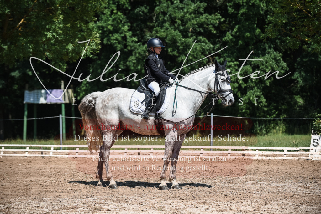 DSC_3136 | Pferde- und Turnierfotografie in Westsachsen. Pferdeportraits, Auftragszeichnungen und intuitive Kunst.