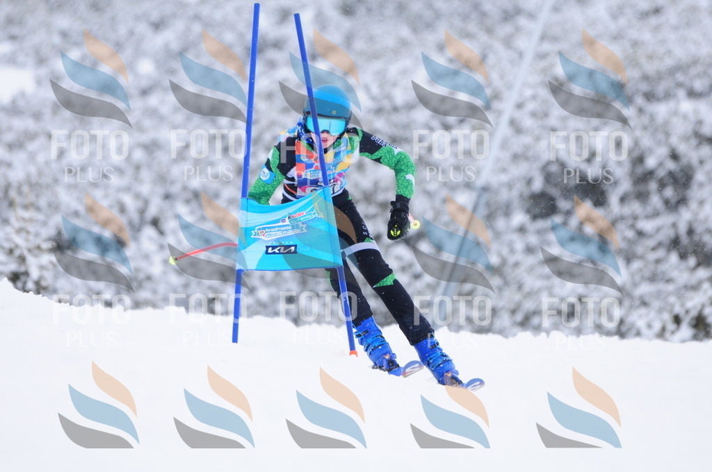 C4201 | holidayphoto