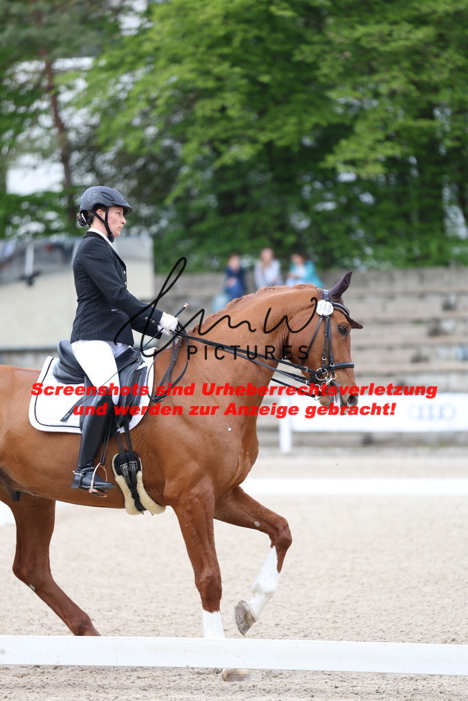 A40A3989 | lmwpictures - Realisiert mit Pictrs.com