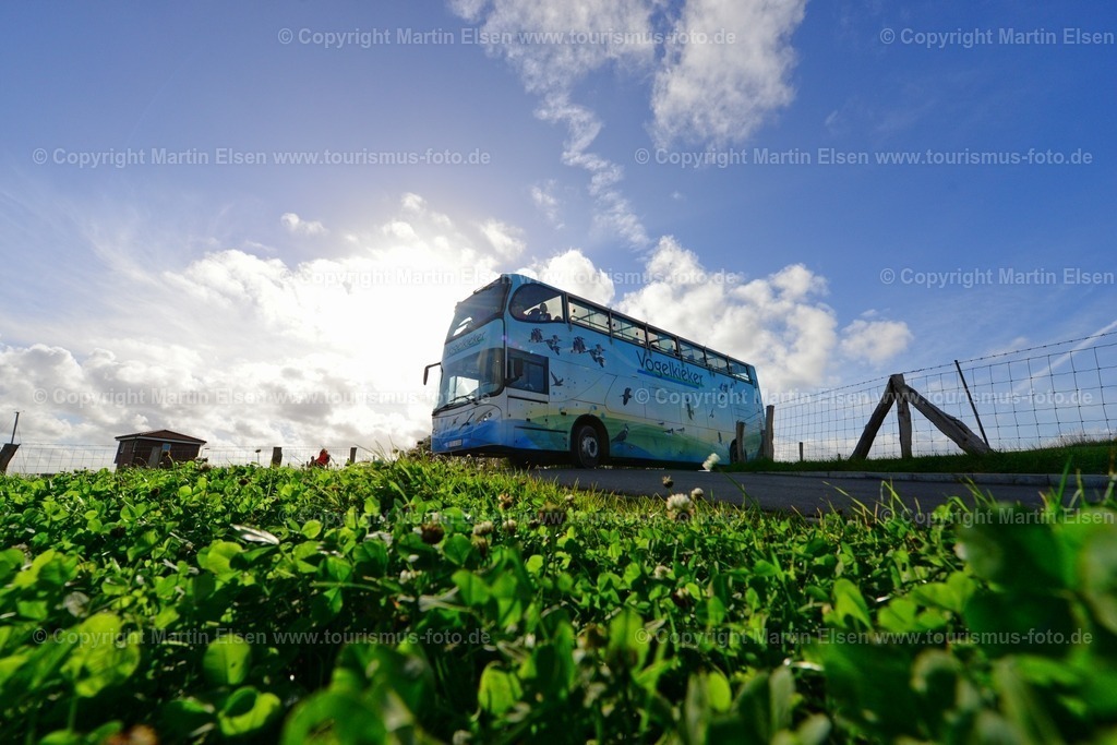 Vogelkieker Freiburg_ELS_4133 | Freiburg an der Elbe - Aufnahmedatum: 25.10.2015, Aufnahmehöhe:  m, Koordinaten:  - , Bildgröße: 7360 x  4912 Pixel - Copyright 2015 by Martin Elsen, Kontakt: Tel.: +49 157 74581206, E-Mail: info@schoenes-foto.deSchlagwörter:Vogelkieker,Bus,Kinder,Vogel,Vögel,Gänse,Nonnengänse,Wildgänse,Zugvögel,Außendeich,KVG,Natur,Wildganstage, Foto - Realisiert mit Pictrs.com