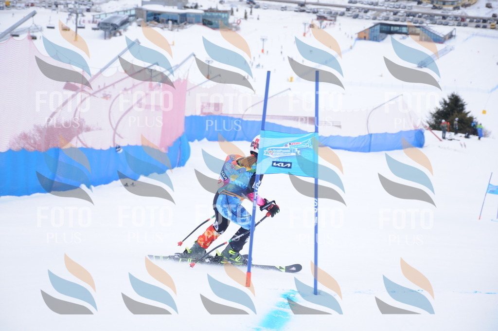 DSC_8187 | holidayphoto