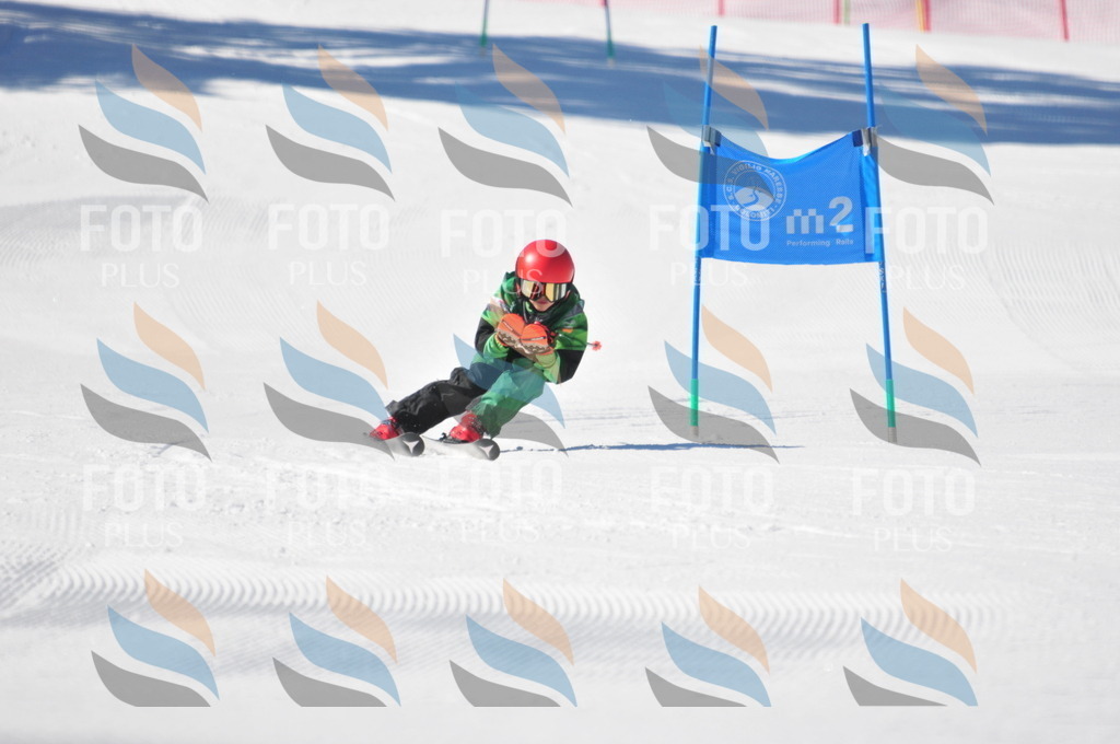 C3645 | holidayphoto