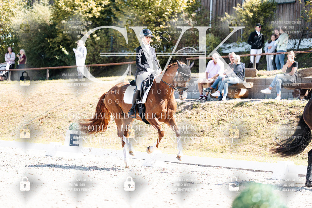 CK904091 | Turnierfotografie Pferdefotografie Trier Rheinland-Pfalz Pferdesport Reitsport Tierfotografie Sportfotografie Pferdevideo Pferdevideografie Equestrianvideography equestrianphotography  - Realisiert mit Pictrs.com