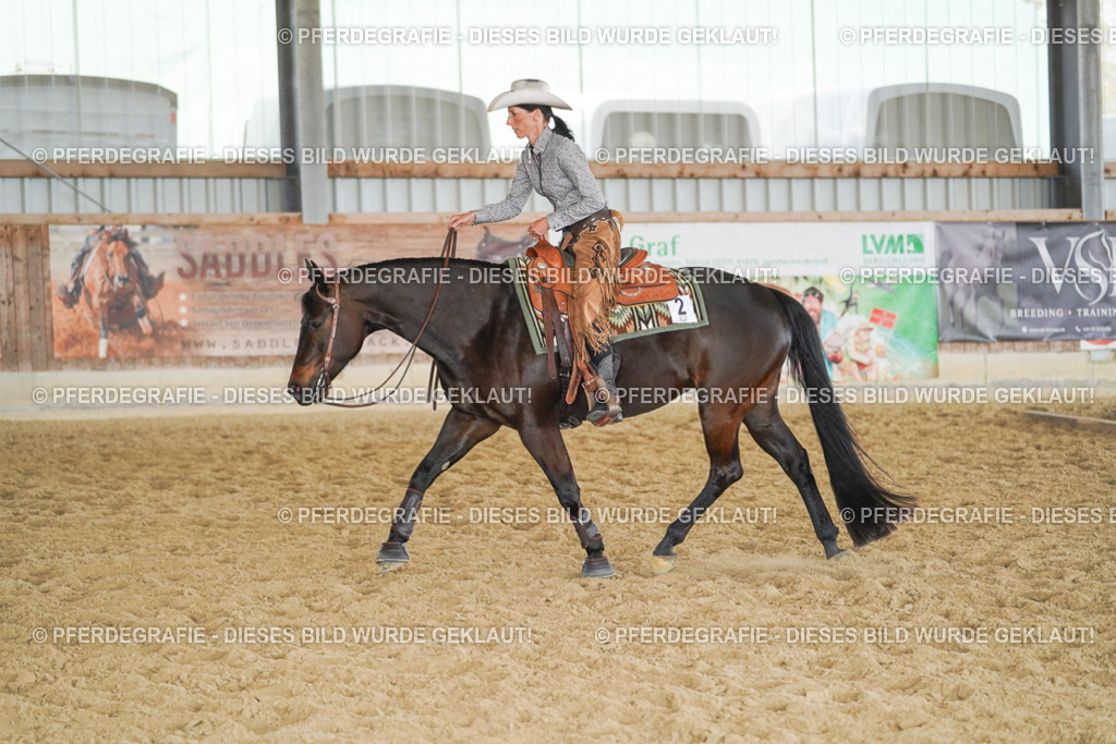 DSC02201 | Pferdegrafie