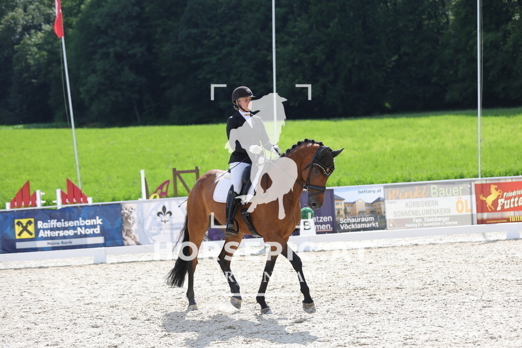 0P6A6611 | Willkommen bei Brunnmayr - Design & Fotografie – Ihrem Spezialisten für Reitturniere und Pferdeveranstaltungen in Oberösterreich, Salzburg und Bayern! Seit über 17 Jahren sind wir leidenschaftlich dabei.