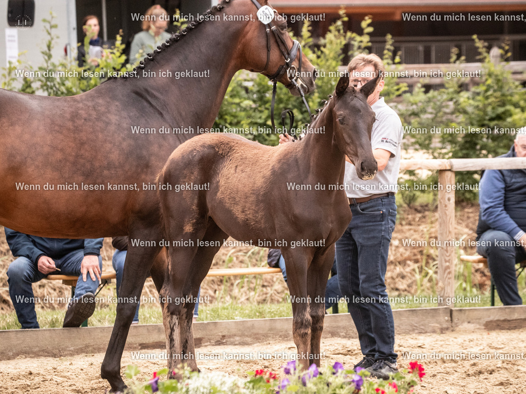 A10I7055 | photographylinaismer - Realisiert mit Pictrs.com