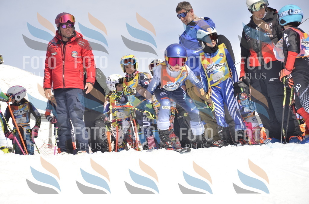 _ELE8562 | holidayphoto