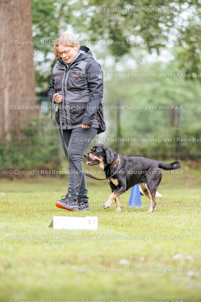 RO-Blumenthal-2026-Nickbest-Hundefotografie-4353 | Dein Hund! Dein Moment! Deine Erinnerungen! Hundefotografie in Bremen Blumenthal. Ich fange die besonderen Momente deines Vierbeiners ein – ob Indoor mit Blitzanlage oder in der freien Natur. Sicher dir dein Moment und dein Termin für eure Erinnerungen.