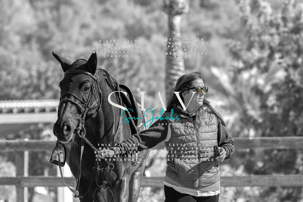 IMG_6623-2 | s-jay-photography - Realisiert mit Pictrs.com