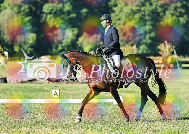 20260628_14a_VA_Dressur-56 | JS-Photostyle - Sport-/Portrait- & Eventfotografie