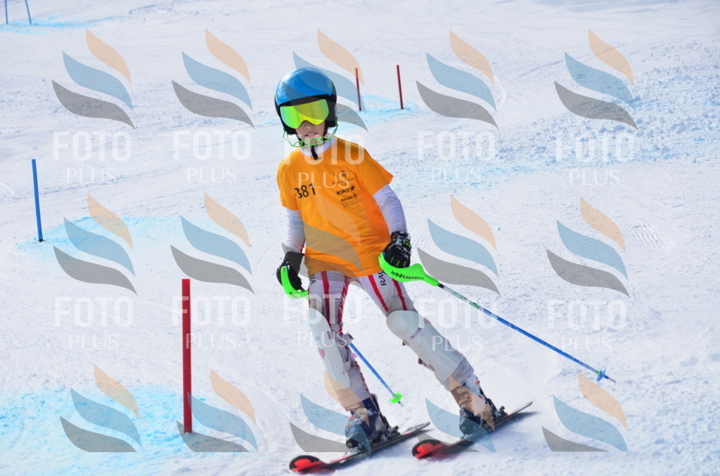 C8773 | holidayphoto