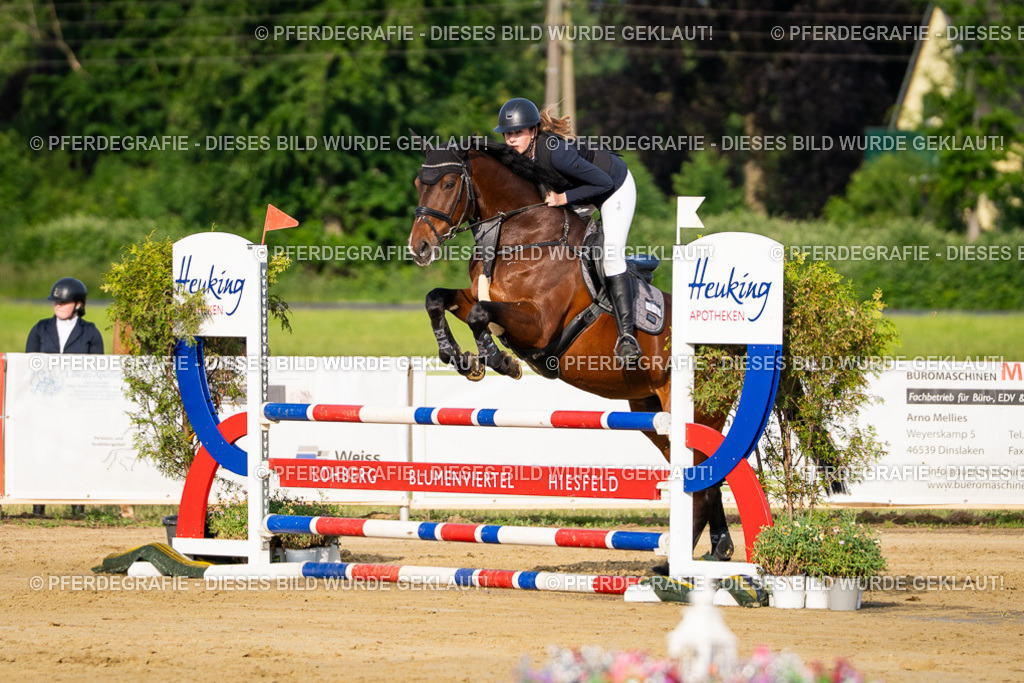 DSC02540 | Pferdegrafie