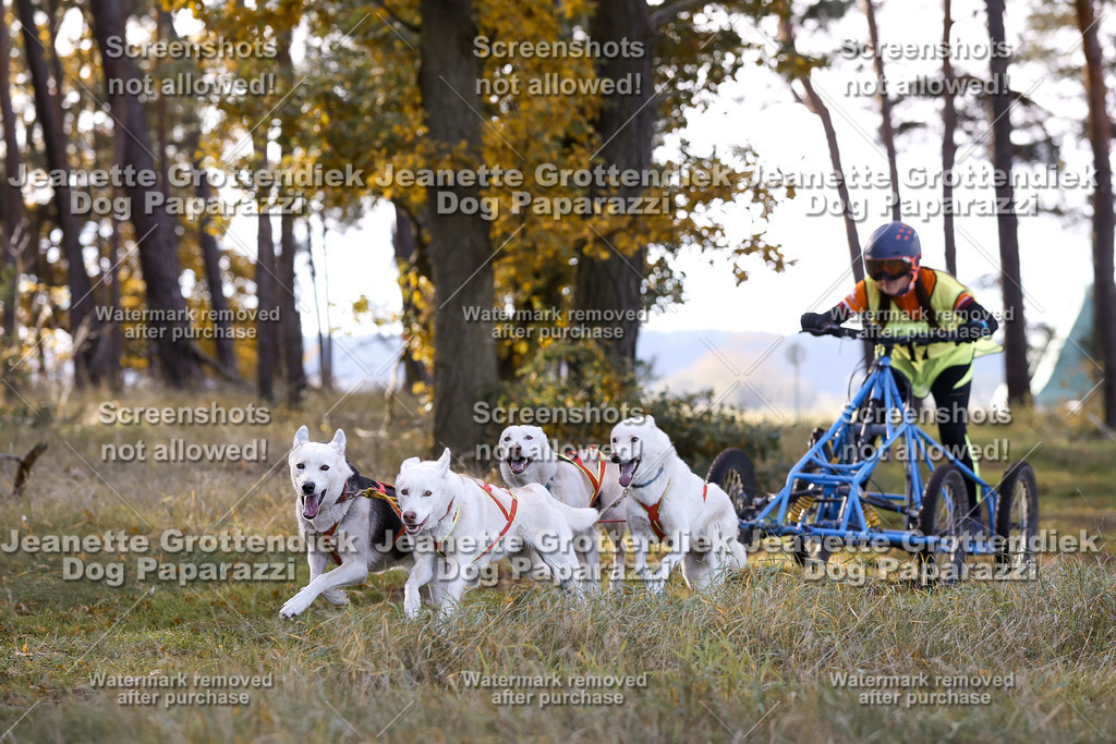 Dog Paparazzi - Elsholz 25 -90 | Dog Paparazzi Jeanette Grottendiek Fotografie & Videografie - Realisiert mit Pictrs.com