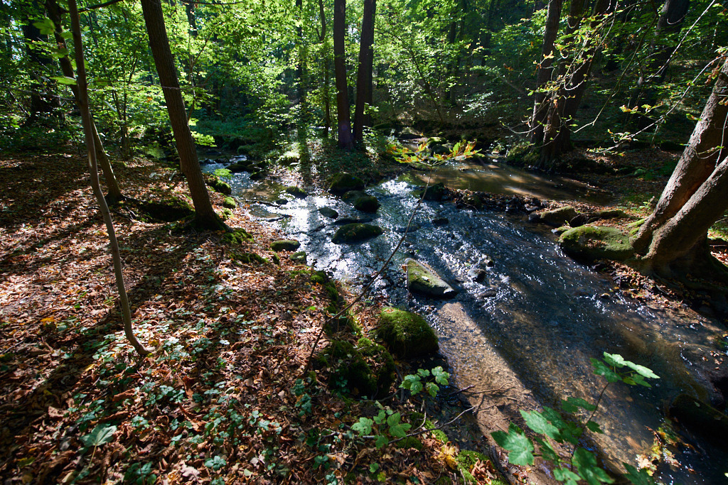 In der Neustädtler Skala 11 | Bedeutsame Landschaften Deutschlands - Realisiert mit Pictrs.com