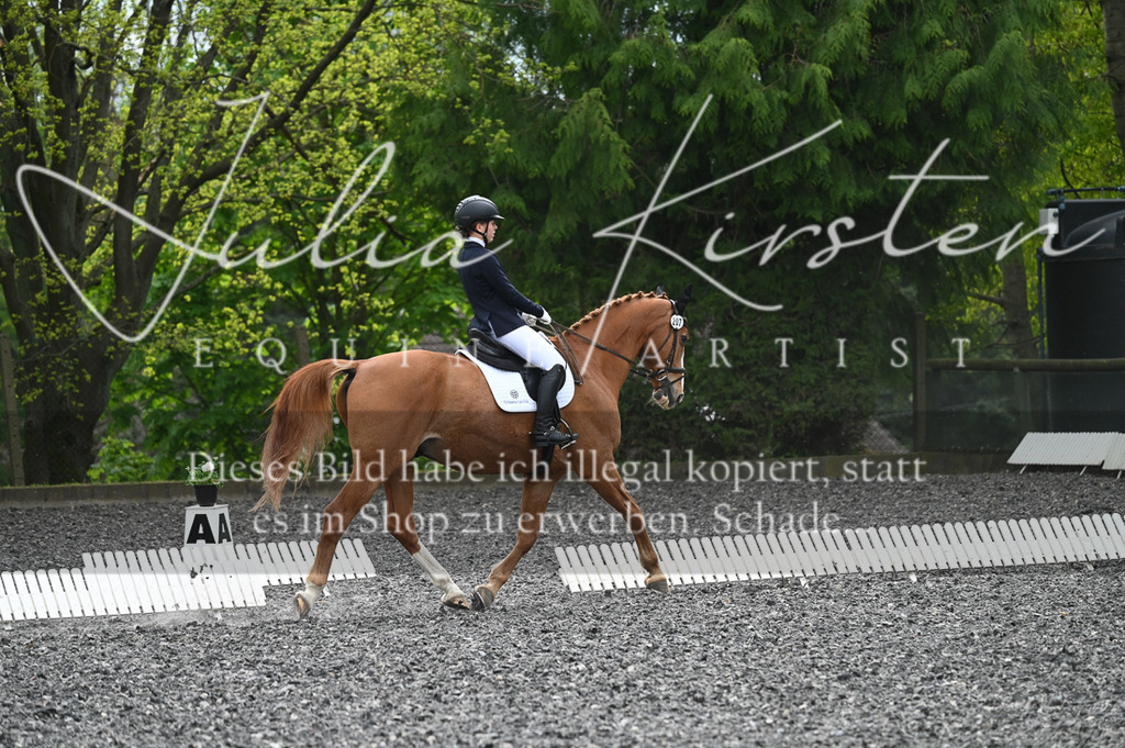 20230512_JK-Röhrsdorf-07-048 | Pferde- und Turnierfotografie in Westsachsen. Pferdeportraits, Auftragszeichnungen und intuitive Kunst.