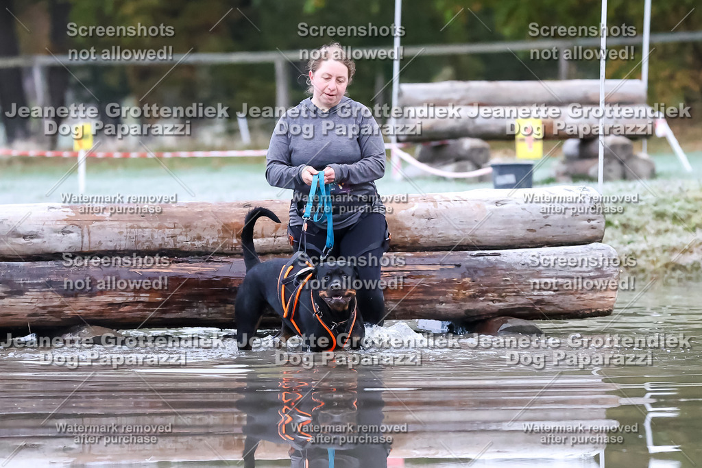 Dog Paparazzi - Strongdog 10-25-6073 | Dog Paparazzi Jeanette Grottendiek Fotografie & Videografie