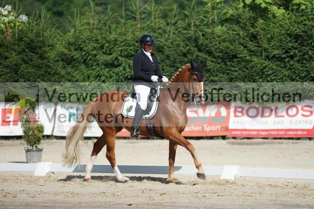 DSC04567 | equestrian-live-com