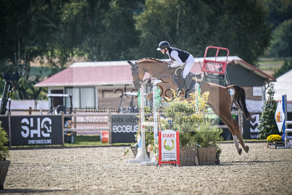 DOS_8375 | Entdecke hochwertige Reitturnierfotos von Foto Oger. Professionell, emotional und authentisch – jetzt Lieblingsmomente im Shop bestellen.Deutschlandweite Turnierfotografie. - Realisiert mit Pictrs.com