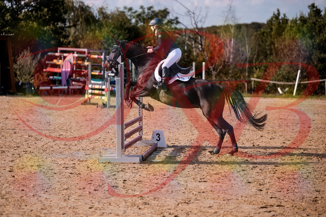 2026_10_03_Siefer-Hof_154922_Z81_68040870 | Professionelle Reitsport-, Turnier- und Eventfotografie von Robert Broda. Galerien mit ausgewählten und bearbeiteten Bildern direkt online ansehen und bestellen.