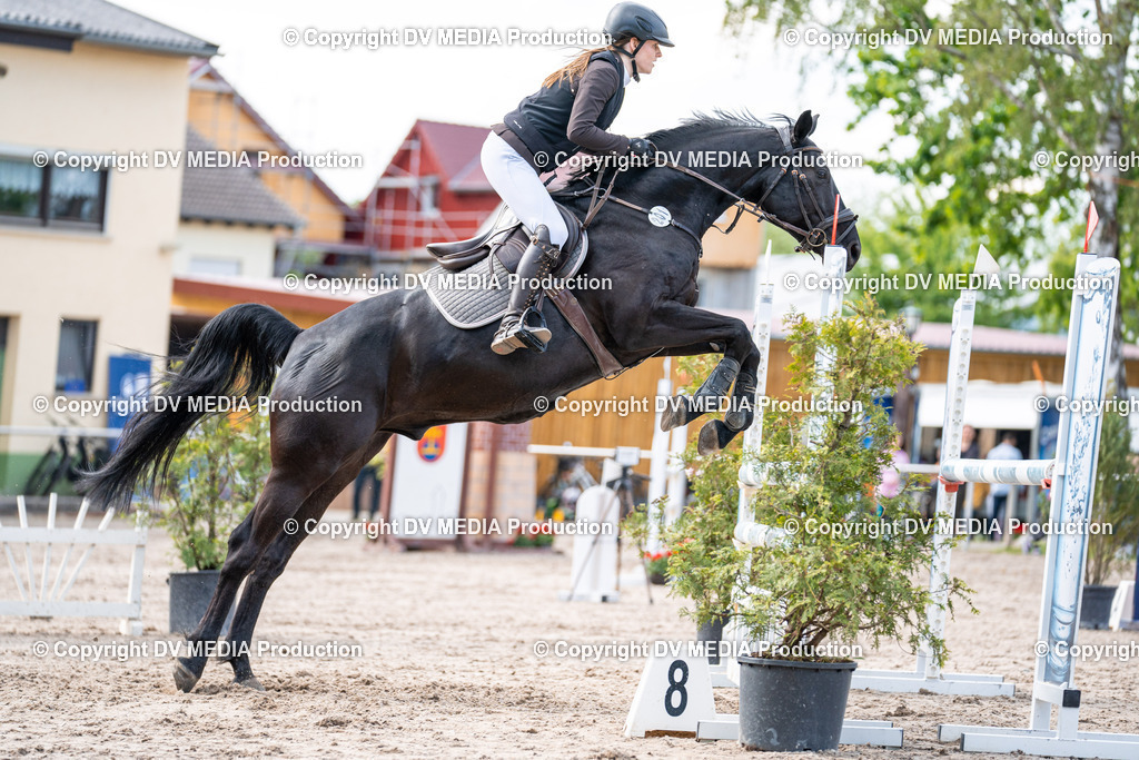 Eppelheim Tag 2-615 | dv-media-shop - Realisiert mit Pictrs.com