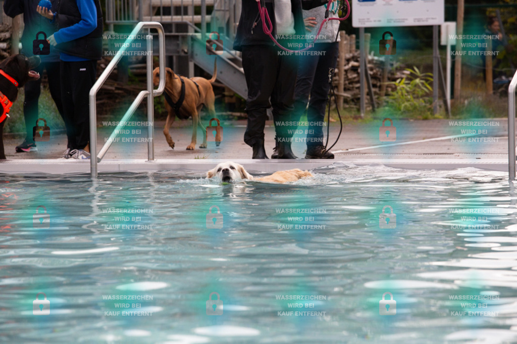 _HP_7549_1000o | HetPix, HetPix Fotodesign, Fotografie, Fotodesign, Webshop, Sportfotografie, Portraitfotografie, Onlineshop, Sportfotografie, Polch, Motorsportfotografie, Eventfotografie