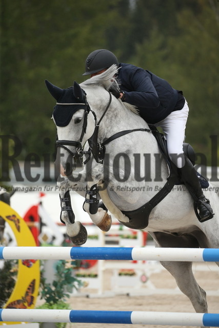 Villingendorf_2022_Prfg.Nr.08_zwei Phasen_Springprfg.Kl.M_Youngster_Frieder Dietterle_Collin 154 (3) | Alle Fotos der Reiterjournal Fotografin Doris Matthaes im Reiterjournal Online-Fotoshop. - Realisiert mit Pictrs.com