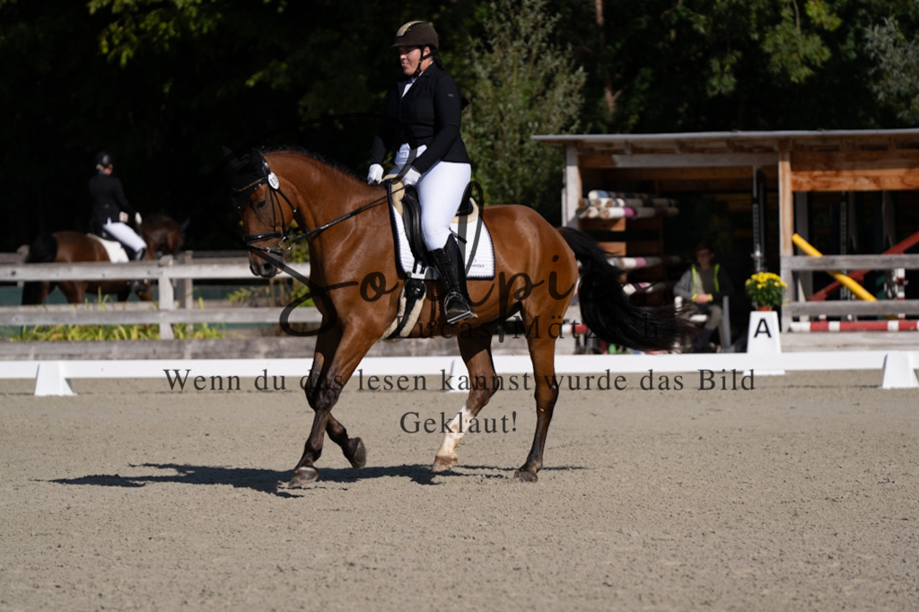 A7V06909 | Turnier/Reitfotograf