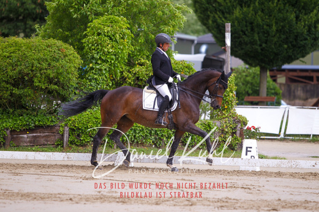 DKP40779 | Turniersportfotografie; Pferdefotografie; Dressurfotografie