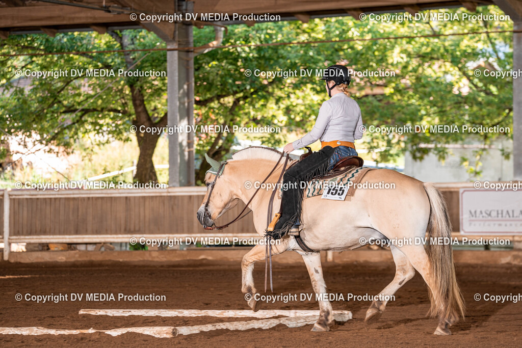 Erbach Tag 2-84 | dv-media-shop - Realisiert mit Pictrs.com