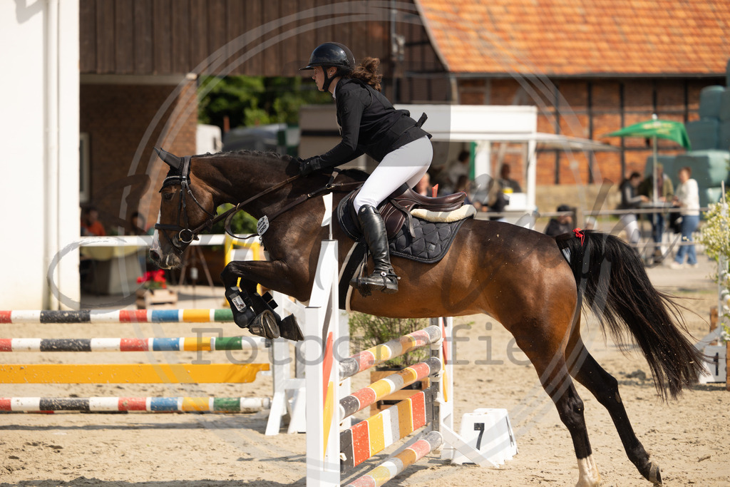 994A9452 | sabrinanicolaifotografie - Realisiert mit Pictrs.com