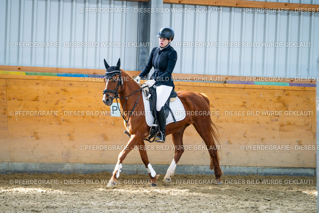 DSC02028 | Pferdegrafie