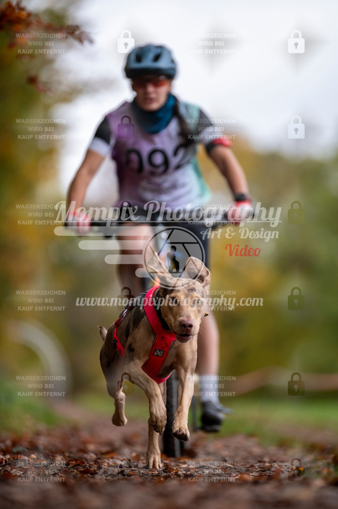 DBT_DAKM_SA_4_11_2023_Bike-37 | PayLife