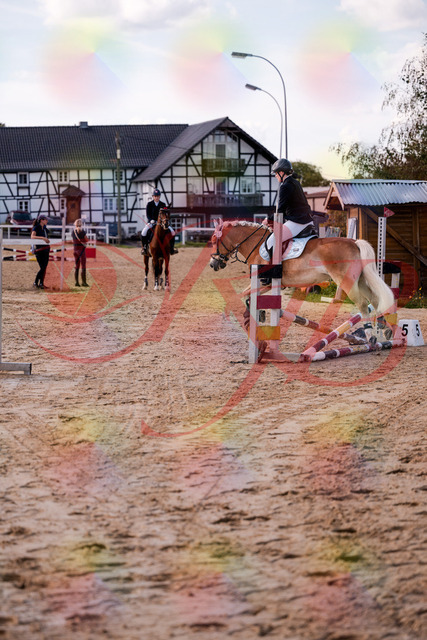 2026_10_03_Siefer-Hof_145517_Z81_35945671 | Professionelle Reitsport-, Turnier- und Eventfotografie von Robert Broda. Galerien mit ausgewählten und bearbeiteten Bildern direkt online ansehen und bestellen.