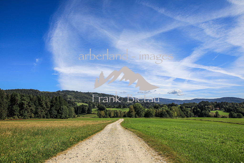 OE7A7785 | Medien- Sport- Entertainmentfotos