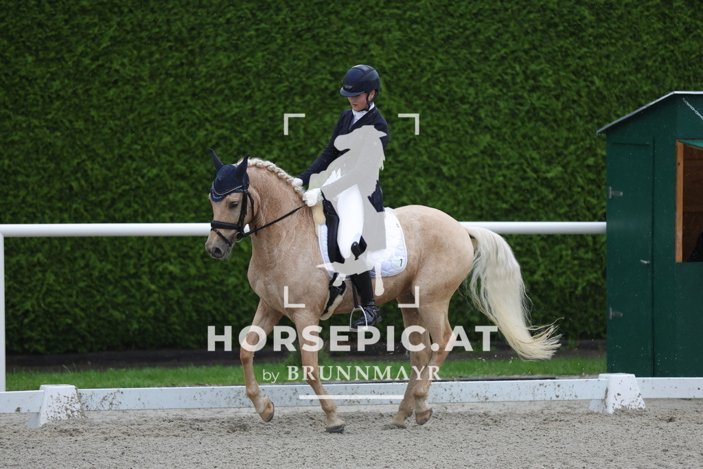 0P6A0933 | Willkommen bei Brunnmayr - Design & Fotografie – Ihrem Spezialisten für Reitturniere und Pferdeveranstaltungen in Oberösterreich, Salzburg und Bayern! Seit über 17 Jahren sind wir leidenschaftlich dabei.