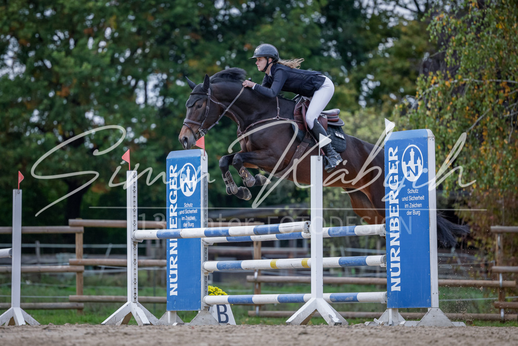20251012-_3LI5249 | Tierfotografie Pferde, Hunde, Katzen, Haustiere.
Turnierfotografie Reitturniere, Reiten, Springreiten, Dressur in Hanau, dem Main-Kinzig-Kreis und dem Rhein-Main- Gebiet um Frankfurt