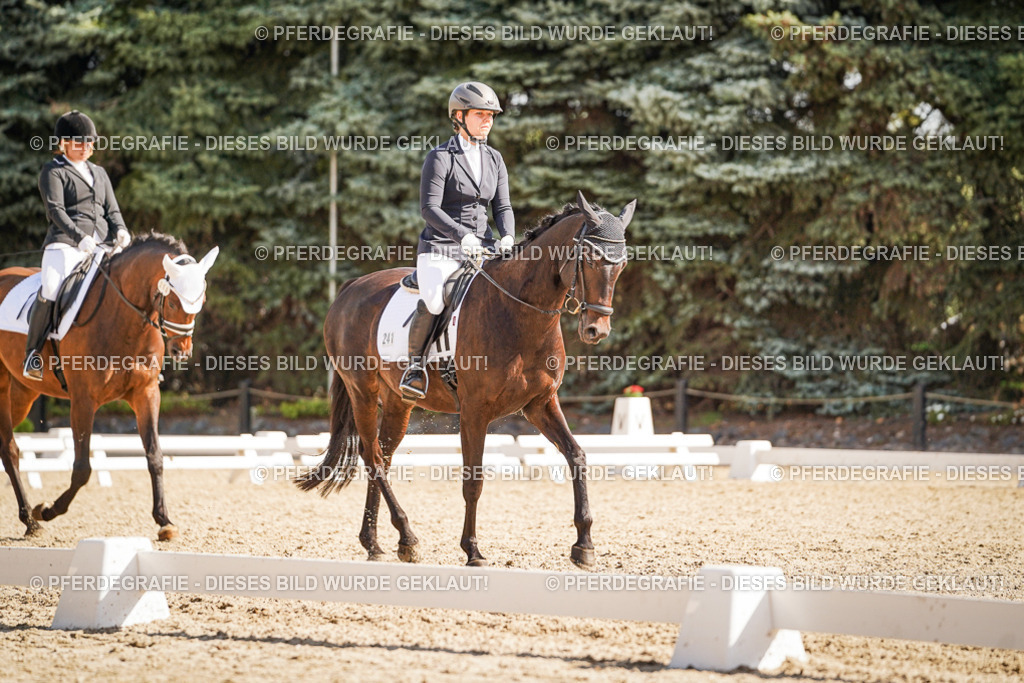 DSC00373 | Pferdegrafie